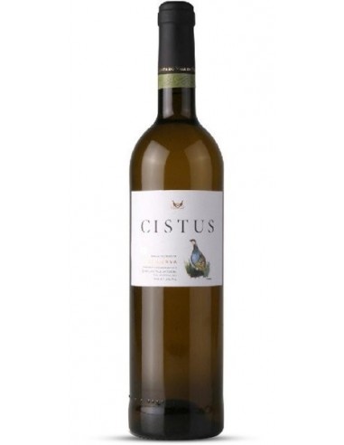 Cistus Reserva Branco 2013 - White Wine
