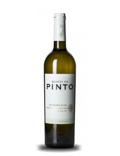 Quinta do Pinto Sauvignon Blanc - Vino Blanco