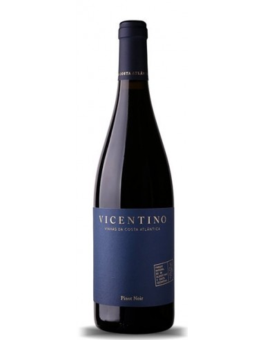 Vicentino Pinot Noir  - Vin Rouge