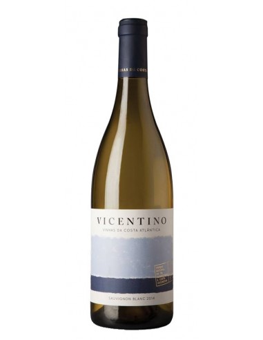 Vicentino Sauvignon Blanc 2018 - White Wine
