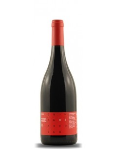 Quinta de Arcossó Bastardo 2014 - Red Wine