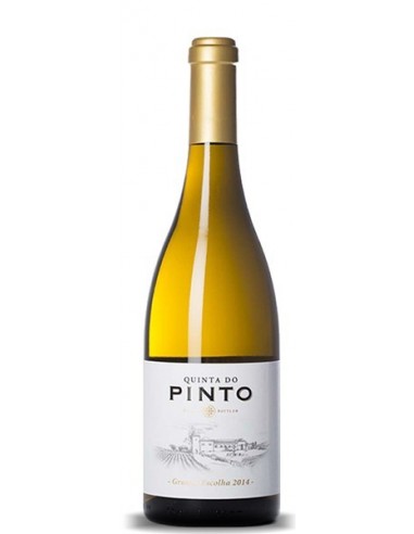 Quinta do Pinto Grande Escolha 2014 - Vinho Branco