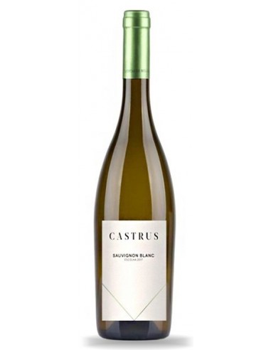 Castrus Sauvignon Blanc - Vinho Verde