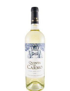 Quinta do Carmo 2019 - Vinho Branco
