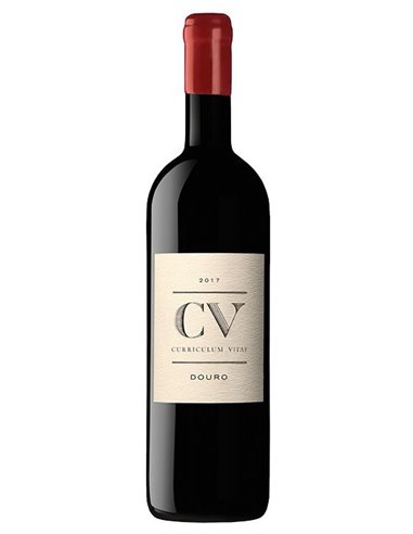 CV Curriculum Vitae 2015 - Red Wine