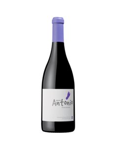 Menino António 2014 - Vinho Tinto